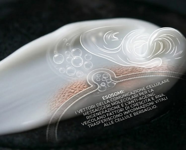 KIT - THE EXOSOME TRAVEL PROTOCOL + TOTE BAG